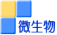 微生物検査室へ