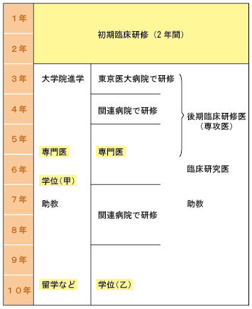 年次スケジュールとローテーション