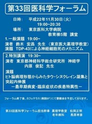 33rd foram