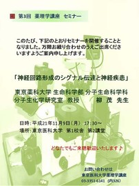 3rd seminar